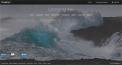Desktop Screenshot of carmenalex.com